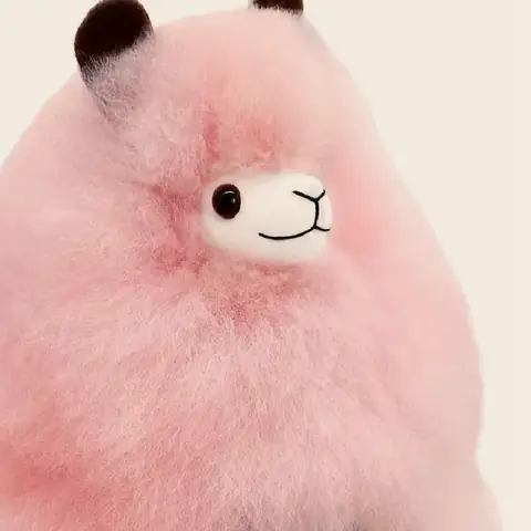 Cotton Candy